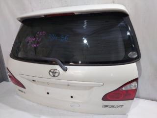 Дверь 5-я TOYOTA IPSUM ACM21 4 ракурс