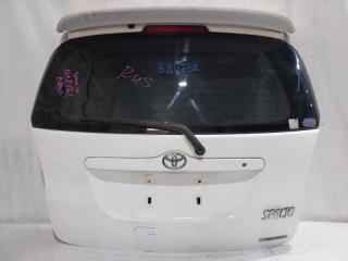 Дверь 5-я TOYOTA COROLLA SPACIO NZE121 1 ракурс