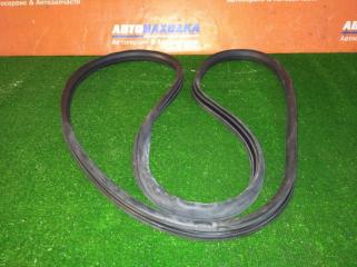 Уплотнитель двери HONDA ACCORD 2002-2008 контрактная Уплотнитель двери HONDA ACCORD 2002-2008