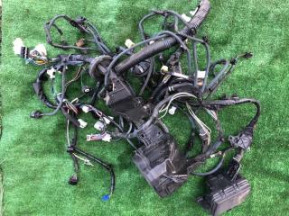 Проводка под капотом Toyota Corolla Axio 2013 контрактная Проводка под капотом Toyota Corolla Axio 2013