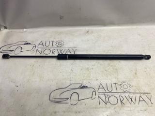 Запчасть амортизатор двери багажника Volkswagen Tiguan 2020