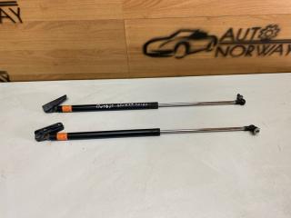 Фото запчасти амортизатор двери багажника Subaru Outback 4 2009 контрактная запчасть Запчасть амортизатор двери багажника Subaru Outback 4 2009