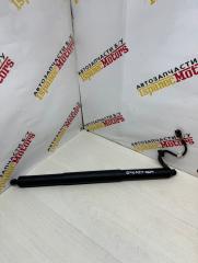 Амортизатор крышки багажника Audi Q5 2021