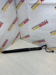 Амортизатор крышки багажника Audi Q5 2021