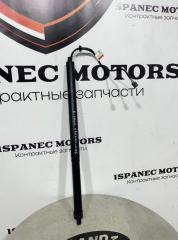 Амортизатор крышки багажника Jaguar F-Pace 2017