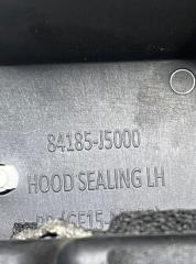 Пластик моторного отсека Stinger 2021 CK 3.3T