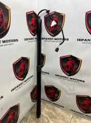 Амортизатор крышки багажника (3-5 двери) Jaguar F-Type 2023