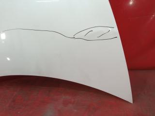 Капот TESLA MODEL 3 1