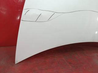 Капот MODEL 3 2017- 1