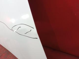Капот MODEL 3 2017- 1
