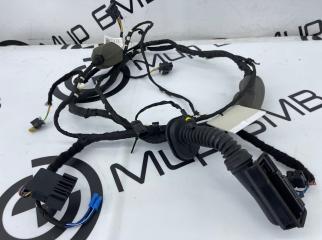 Проводка двери передняя левая BMW X6 xDrive30d 2022