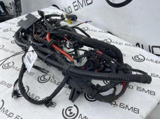 Проводка кузова правая BMW X5 xDrive30d xLine G05 B57D30B Проводка кузова правая BMW X5 xDrive30d xLine G05 B57D30B