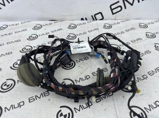 Проводка двери передняя BMW X3
