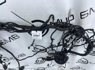 Проводка кузова передняя левая X5 xDrive50e 2024 G05 B58B30S Проводка кузова передняя левая X5 xDrive50e 2024 G05 B58B30S
