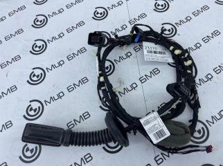 Проводка двери задняя BMW X4 xDrive20i LCI 2023