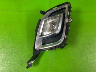 Туманка передняя левая MAZDA MPV 2011 контрактная Туманка передняя левая MAZDA MPV 2011