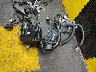 Коса под капот LEXUS NX300H AYZ10 2AR-FXE 82111-78380 2 ракурс