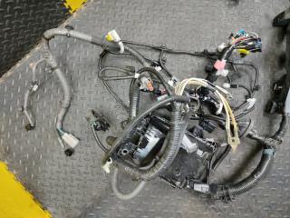 Коса под капот LEXUS NX300H AYZ10 2AR-FXE 82111-78380 3 ракурс