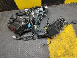 Коса под капот LEXUS NX300H AYZ10 2AR-FXE 82111-78380 4 ракурс