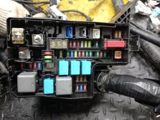 Коса под капот LEXUS NX300H AYZ15 2AR-FXE 4 ракурс