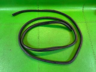 Уплотнительная резинка дверей правая TOYOTA FJ CRUISER GSJ15 1GR-FE 6231135040 1 ракурс