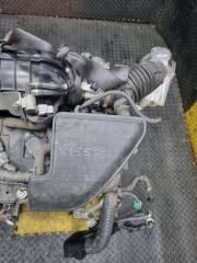 ДВС X-TRAIL 2007 TNT31 QR25-DE ДВС X-TRAIL 2007 TNT31 QR25-DE