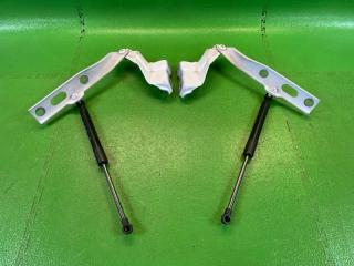 Петля капота AUDI Q5 8RCNCF CNCD 8R0823302A, 8R0823301A, 8R0823359A01S 2 ракурс