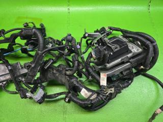 Коса двс HONDA VEZEL RU4 LEB 1N000-5P6-000 3 ракурс