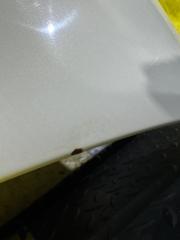 Капот TOYOTA LAND CRUISER UZJ100 2UZ-FE 53301-60320, 057 5 ракурс