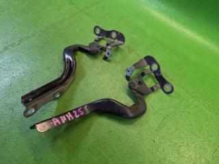 Петля капота передняя TOYOTA ALPHARD ANH25 2AZ-FE 53420-58040,53410-58040 5 ракурс