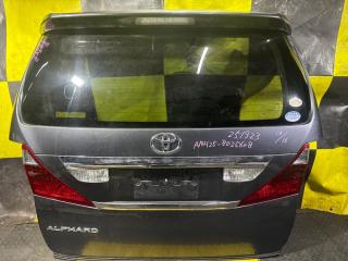 Дверь 5-я задняя TOYOTA ALPHARD ANH25 2AZ-FE 67005-58120, 1G3 2 ракурс