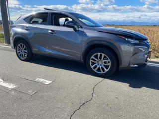 Подушка двс задняя LEXUS NX300H AYZ10 2AR-FXE 5 ракурс