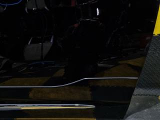Дверь правая передняя TOYOTA ALPHARD GGH30 2GR-FKS 67001-58070, 202 5 ракурс
