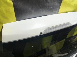 Дверь 5-я NISSAN X-TRAIL DNT31 M9R K010M-JG0EA 3 ракурс