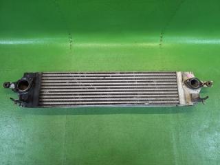 Интеркулер NISSAN X-TRAIL DNT31 M9R 14461-JG70C, 14461-3UCOC, X2587002 1 ракурс Интеркулер NISSAN X-TRAIL DNT31 M9R 14461-JG70C, 14461-3UCOC, X2587002 1 ракурс