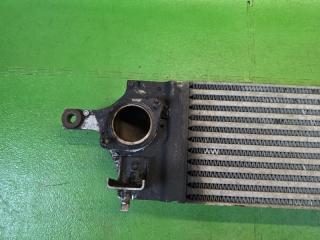 Интеркулер NISSAN X-TRAIL DNT31 M9R 14461-JG70C, 14461-3UCOC, X2587002 2 ракурс Интеркулер NISSAN X-TRAIL DNT31 M9R 14461-JG70C, 14461-3UCOC, X2587002 2 ракурс