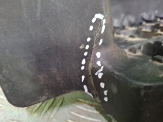 Подножка порога левая N-Series 2014-нв NPR