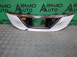 Запчасть решетка радиатора Evolute i-PRO 2022-нв