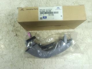 Ручка двери багажника наружная Hyundai Santa Fe 2000-2012