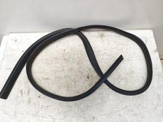 Уплотнитель дверного проема задний FORD FOCUS 2013 контрактная Уплотнитель дверного проема задний FORD FOCUS 2013