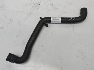 Патрубок радиатора FORD FOCUS 2013 контрактная Патрубок радиатора FORD FOCUS 2013