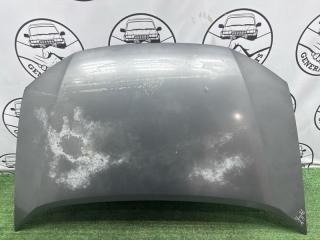 Фото запчасти капот Honda Insight 2009 контрактная запчасть Запчасть капот Honda Insight 2009