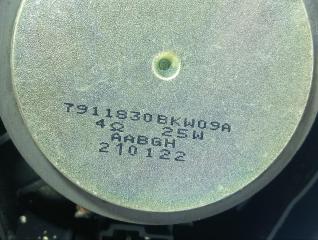 Динамик задний H9 2021 GW4C20B