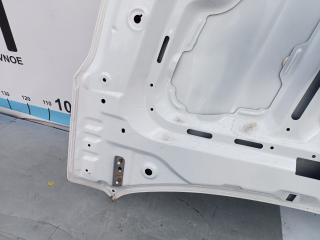 Капот передний S5 2023 M1D
