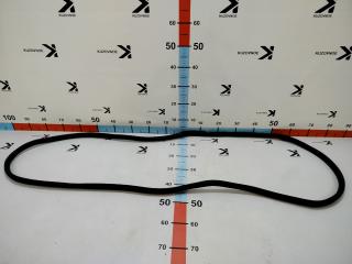 Запчасть уплотнитель дверного проема передний правый Renault Koleos QM6 2019