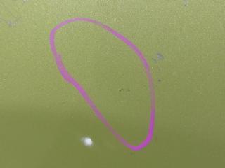 Крыло переднее левое Raize 2020 A200A 1KR-VET