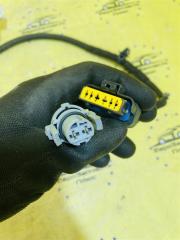 Проводка двери задняя Qashqai J10