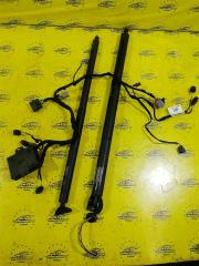 Автооткрывание крышки багажника Ford Kuga 2