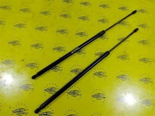 Амортизатор двери багажника Ford Kuga 2