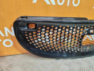 Решетка радиатора ForTwo 2014-нв 3 Решетка радиатора ForTwo 2014-нв 3